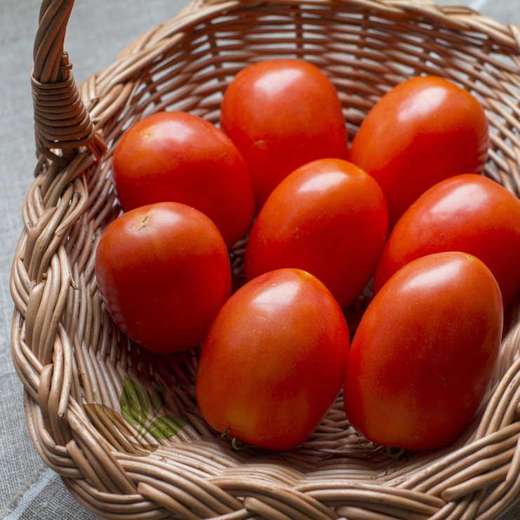 Pomidory gruntowe EKO