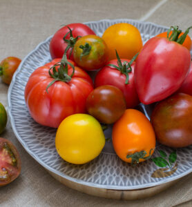 Pomidory ekologiczne