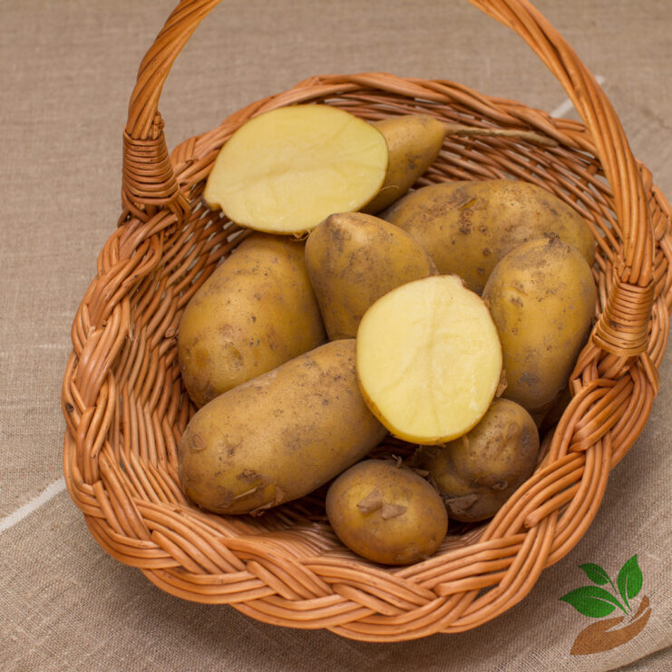 Ekologiczne ziemniaki